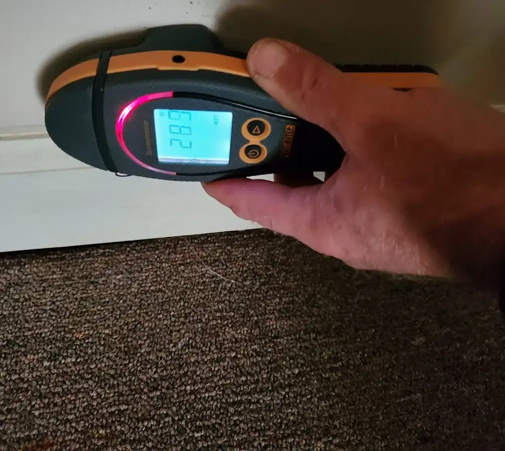 Moisture detection at baseboard during Sewage Cleanup & Sanitation in Cambria